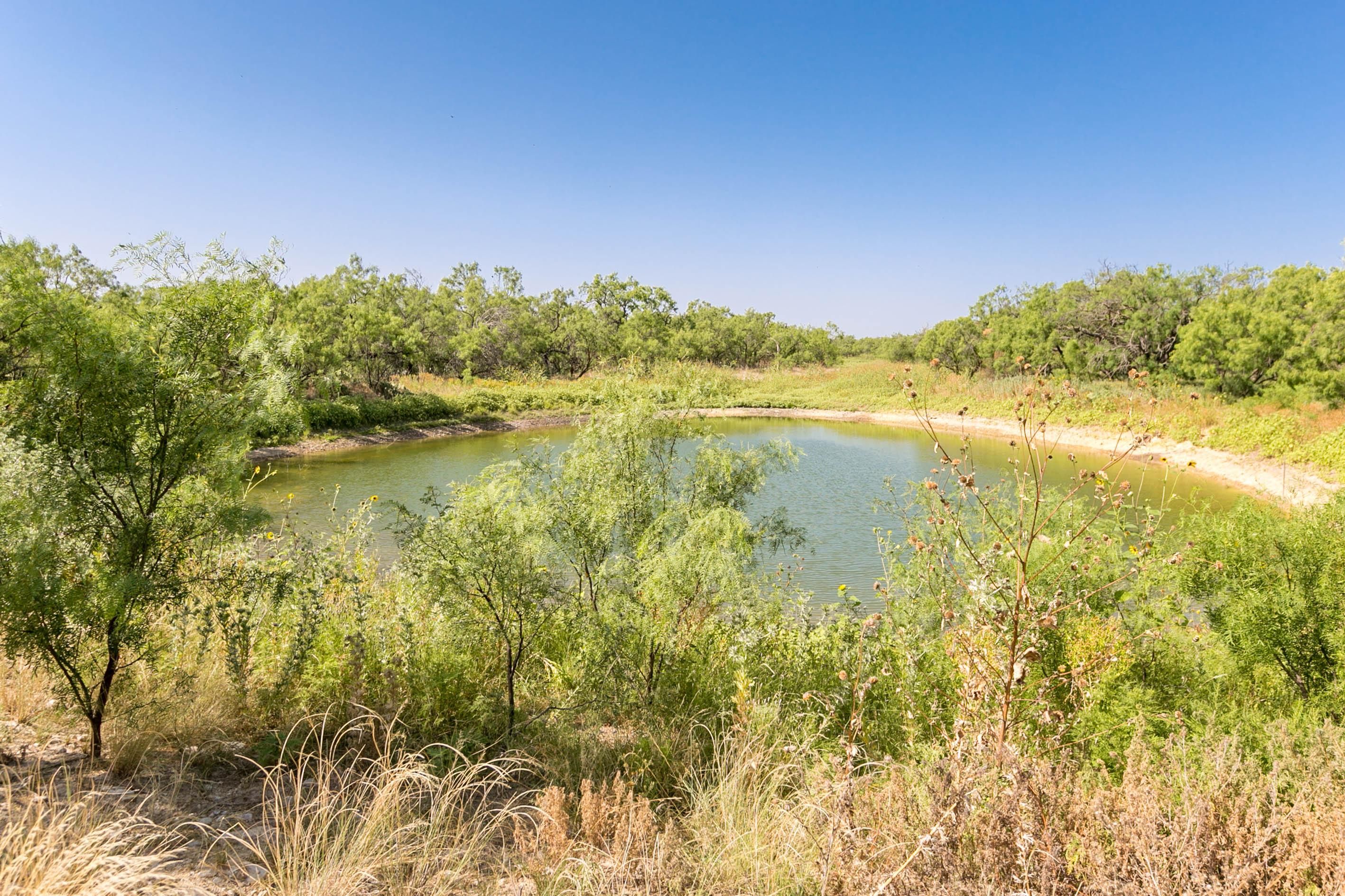 Paint Rock, Concho County, TX Recreational Property, Hunting Property