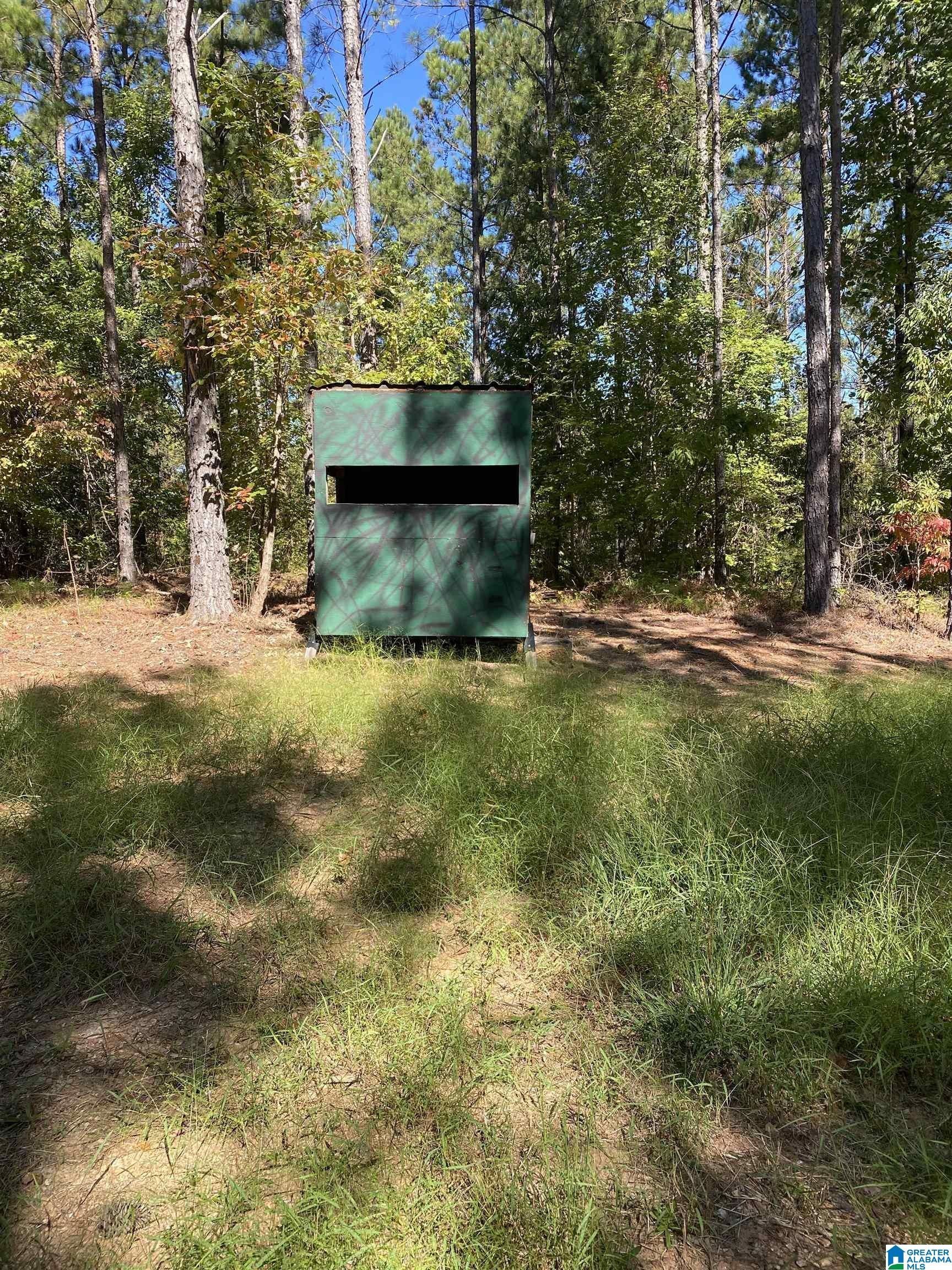 Talladega, Talladega County, AL Undeveloped Land for sale Property ID