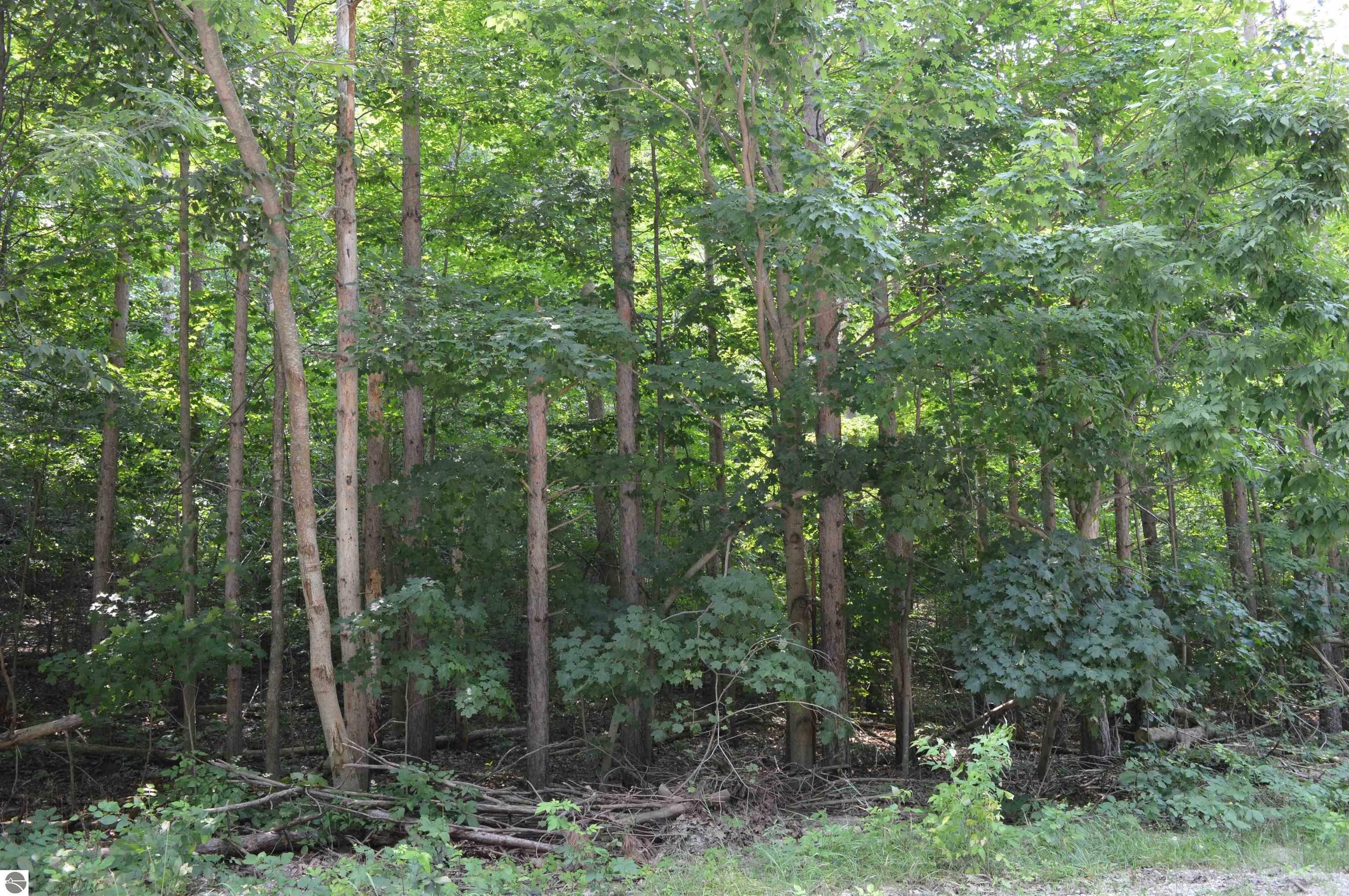 Rapid City, Kalkaska County, MI Undeveloped Land, Homesites for sale