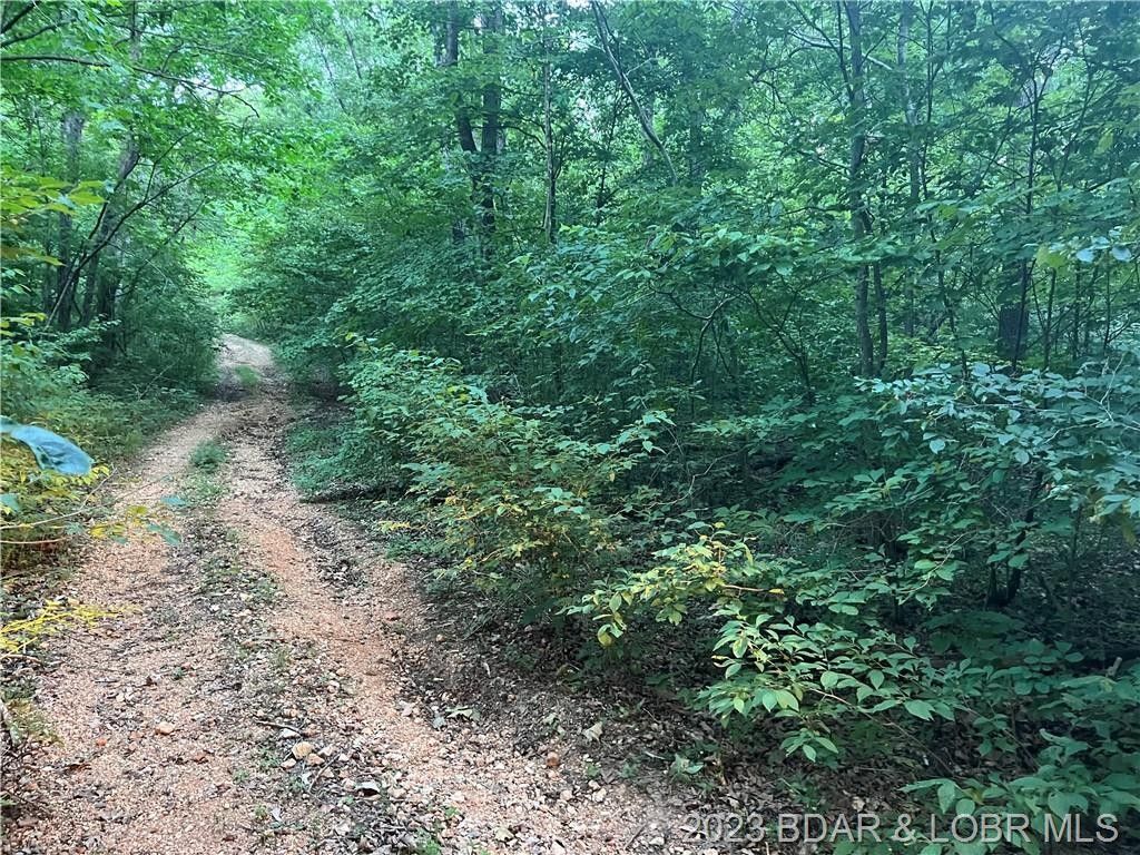 Stover, County, MO Undeveloped Land for sale Property ID 417224338 LandWatch