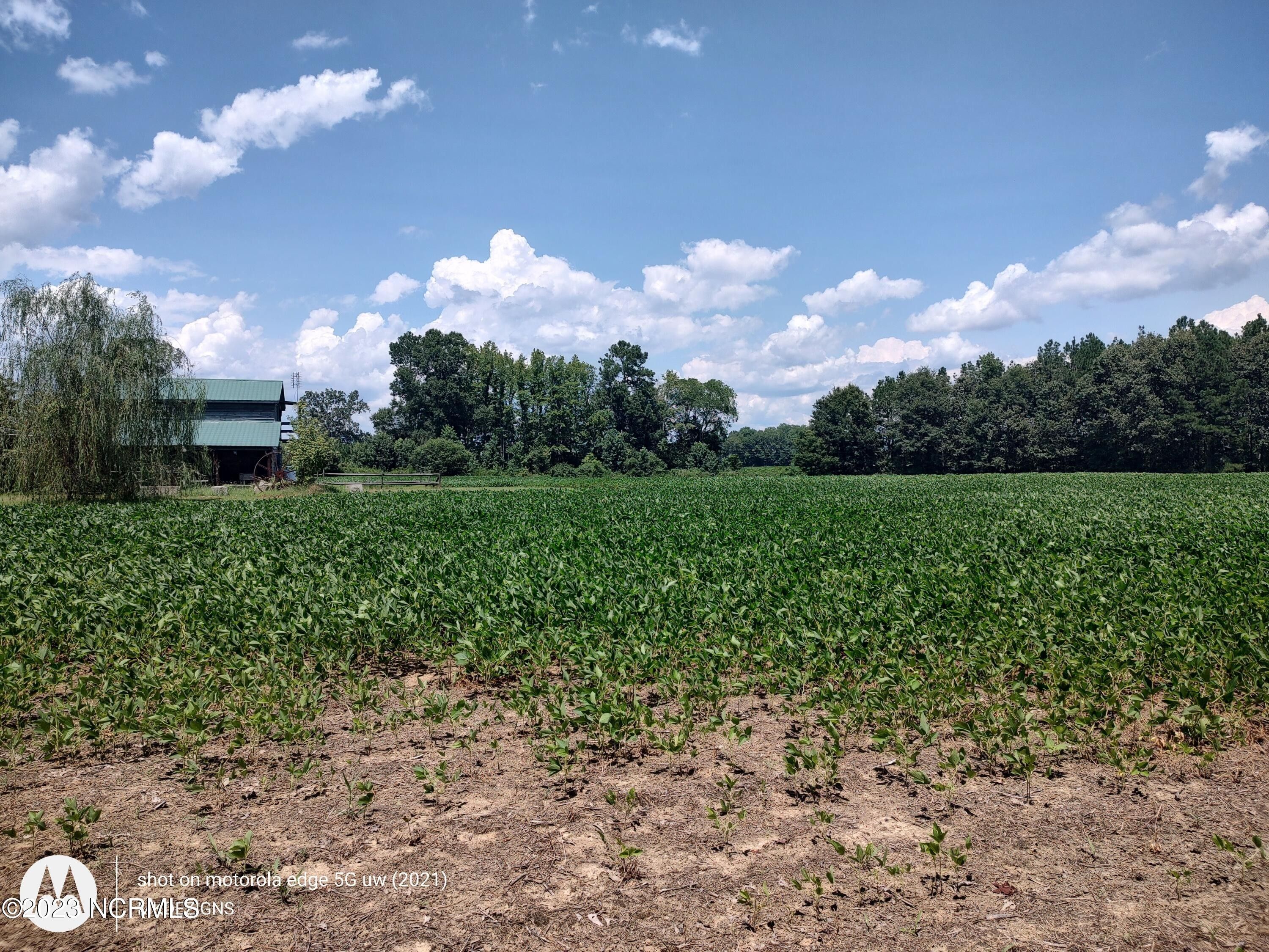 Windsor, Bertie County, NC House for sale Property ID 415098991