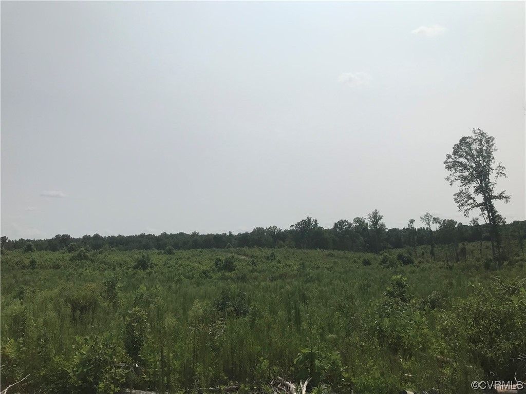 Gum Spring, Goochland County, VA Undeveloped Land for sale Property ID