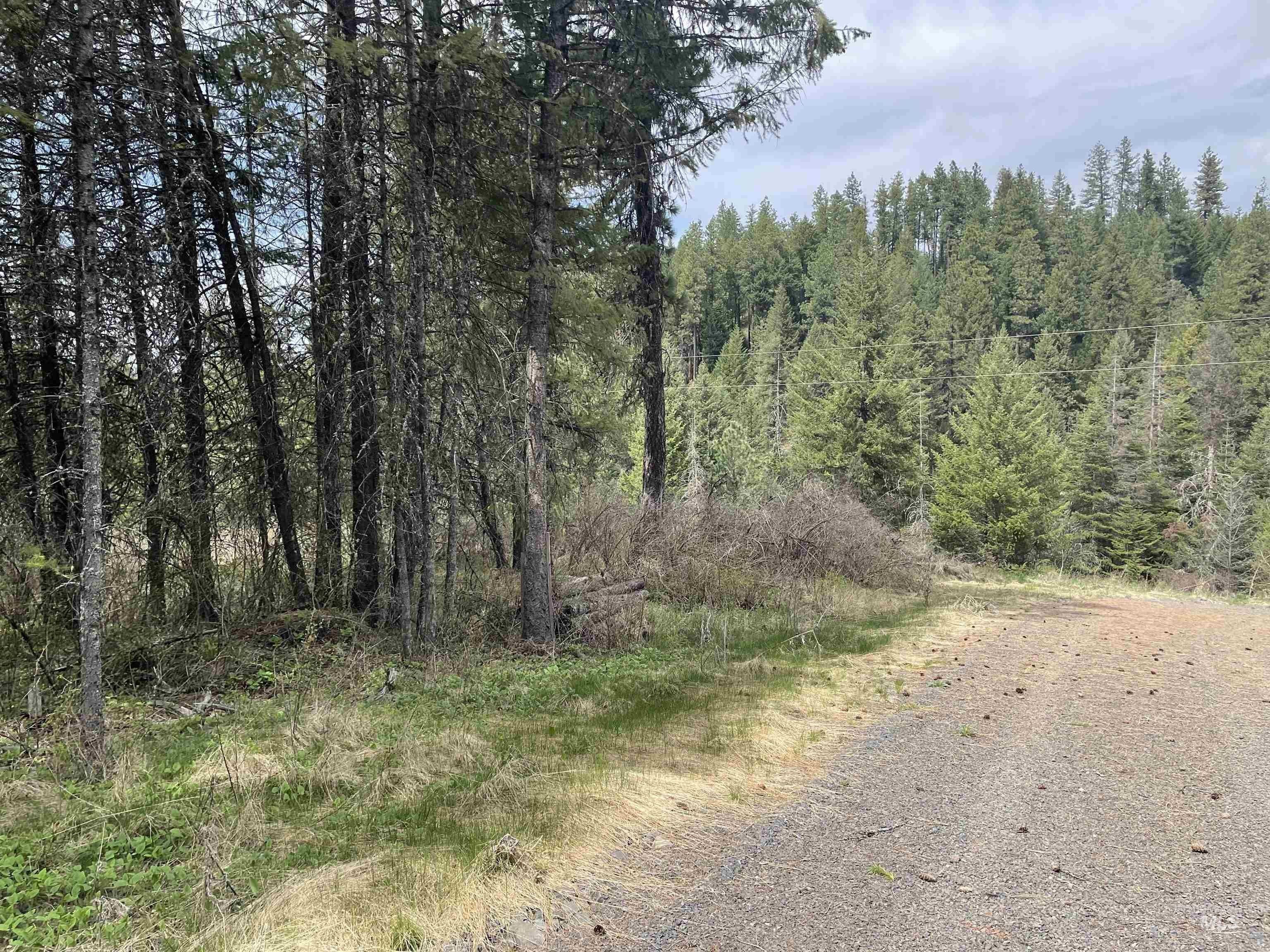 Troy, Latah County, ID Farms and Ranches for sale Property ID