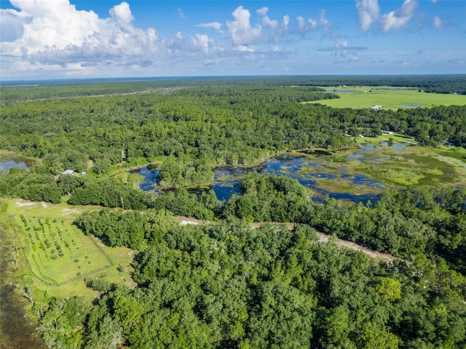 Ocklawaha, Marion County, FL Undeveloped Land, Lakefront Property