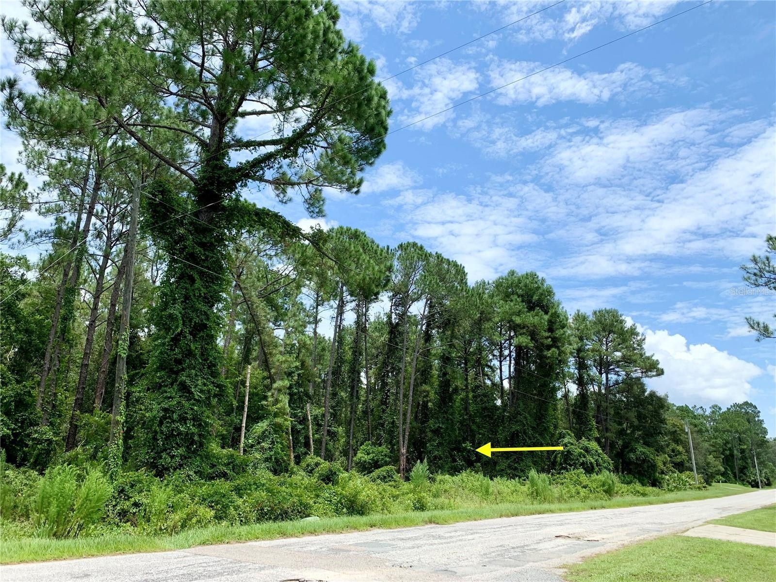 Eustis, Lake County, FL Farms and Ranches, Homesites for sale Property