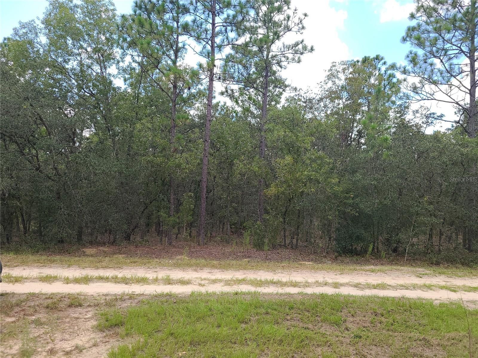 Ocala, Marion County, FL Farms and Ranches, Homesites for sale Property