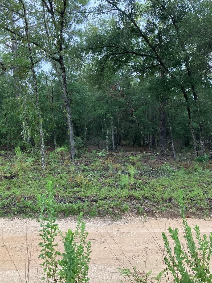 Bronson, Levy County, FL Undeveloped Land, Homesites for sale Property
