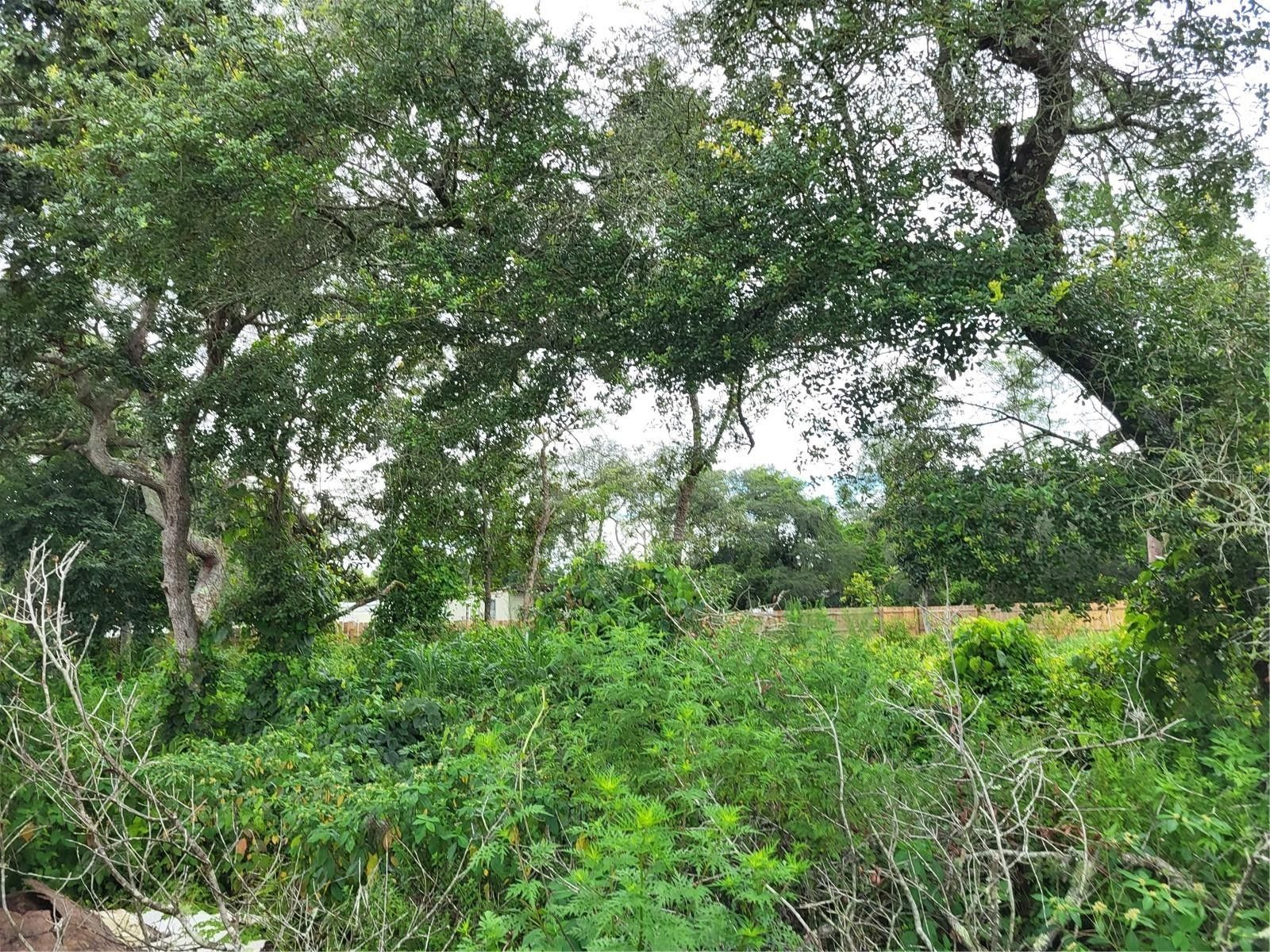 Paisley, Lake County, FL Undeveloped Land, Homesites for sale Property ID 417126105 LandWatch