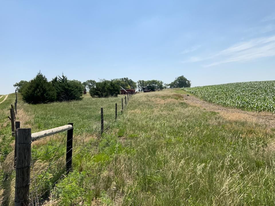 O'Neill, Holt County, NE Farms and Ranches for auction Property ID 417229113 LandWatch