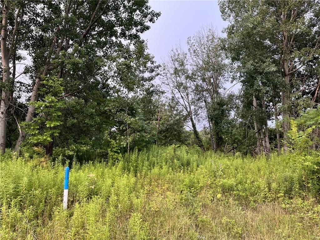 Albion, Erie County, PA Undeveloped Land for sale Property ID