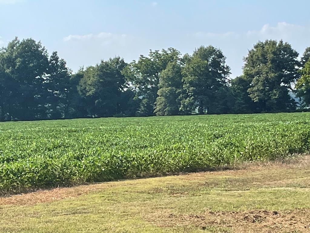 Marks, Quitman County, MS Undeveloped Land for sale Property ID 417231870 LandWatch