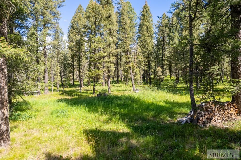 Island Park, Fremont County, ID Undeveloped Land, Homesites for sale
