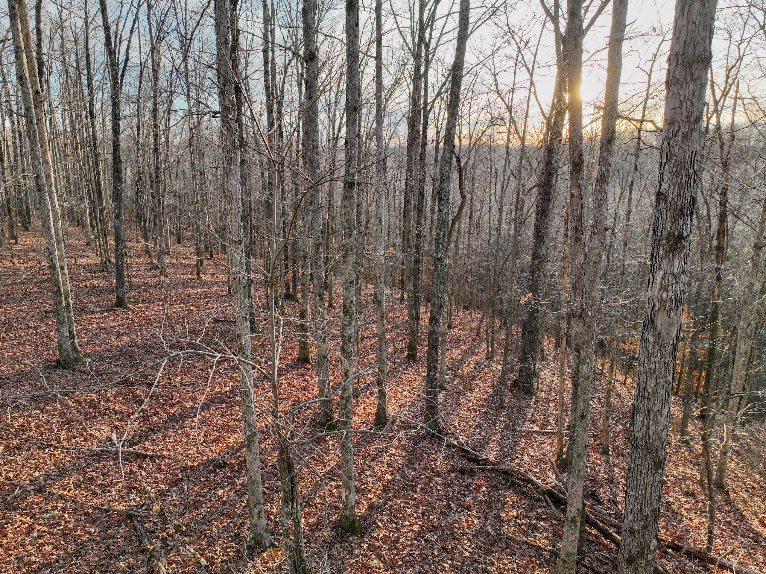 Duck River, Hickman County, TN Recreational Property, Timberland