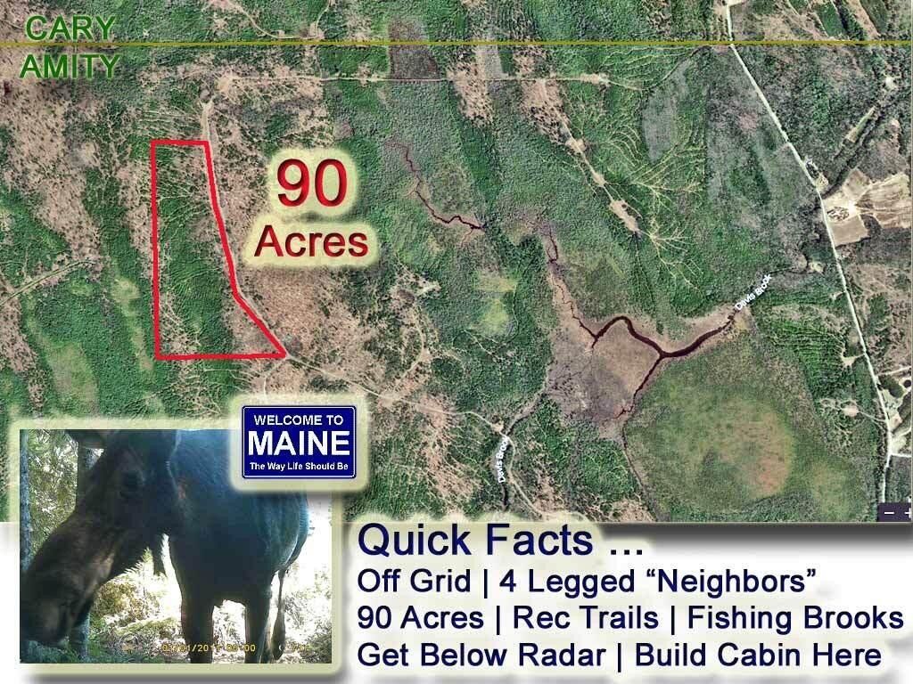 Amity, Aroostook County, ME Undeveloped Land for sale Property ID 417237585 LandWatch