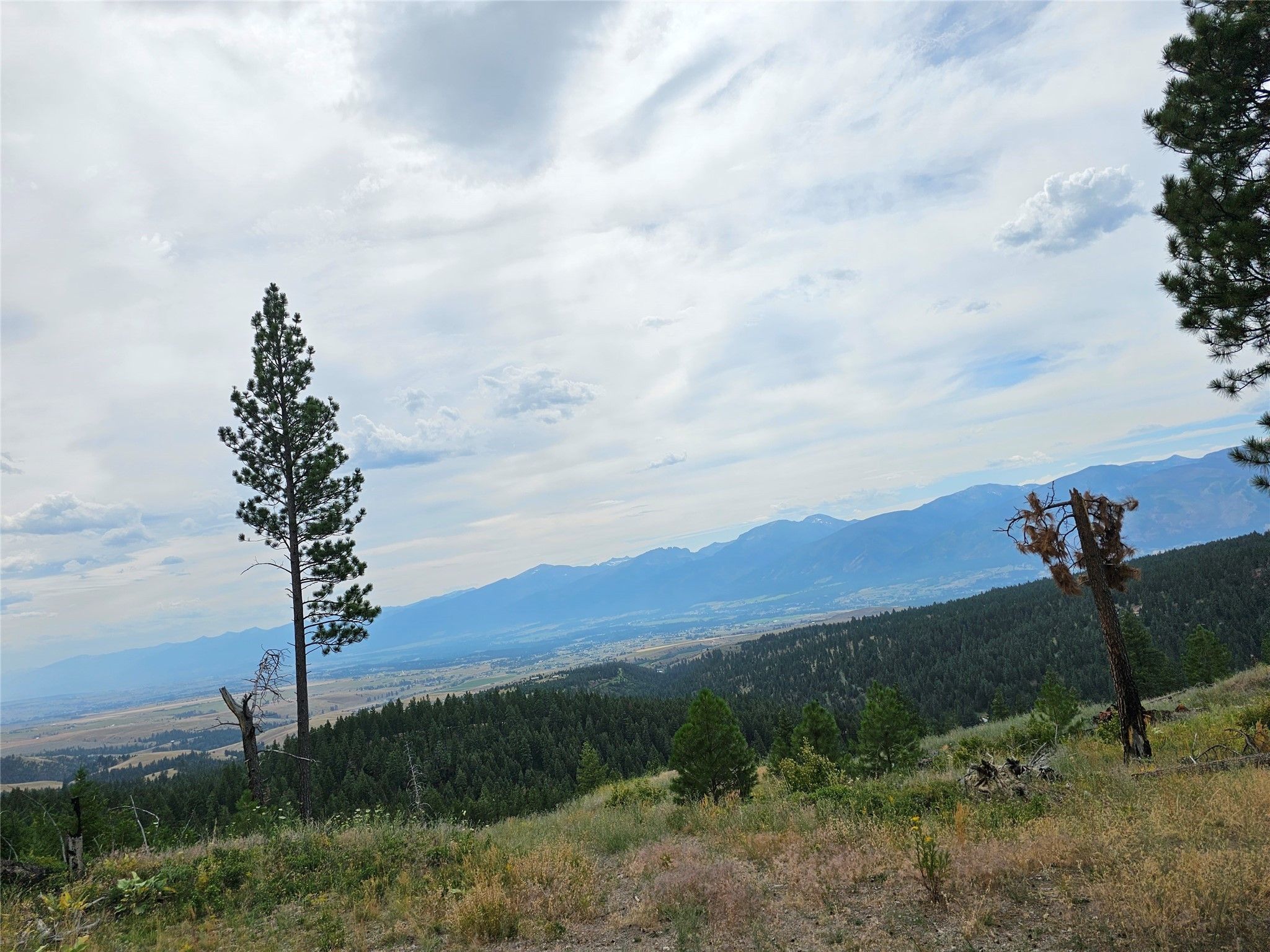 Florence, Missoula County, MT Undeveloped Land for sale Property ID