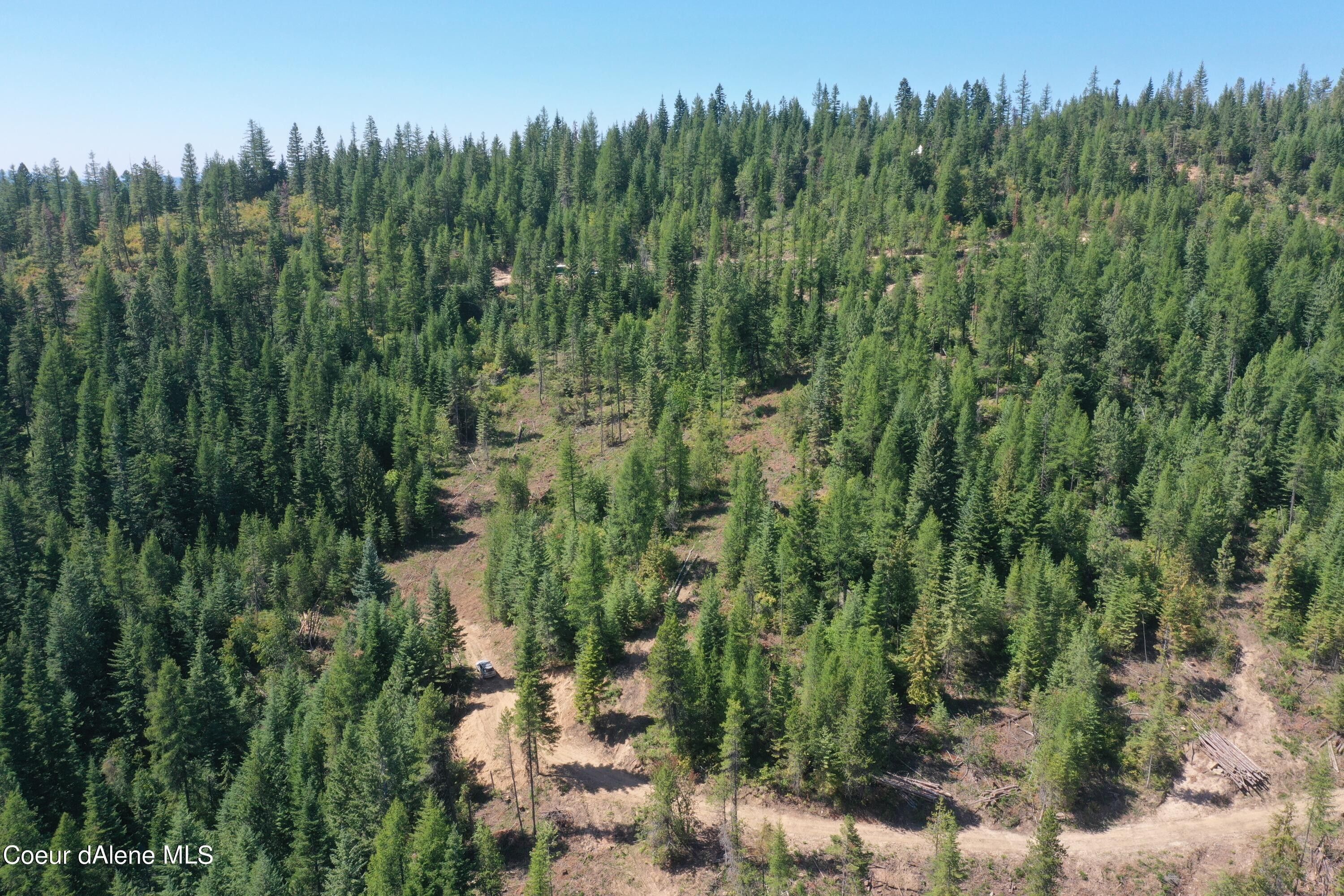 Fernwood, Benewah County, ID Undeveloped Land for sale Property ID