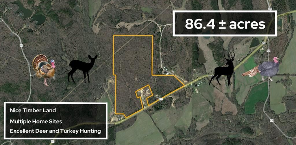 Water Valley, Yalobusha County, MS Undeveloped Land for sale Property