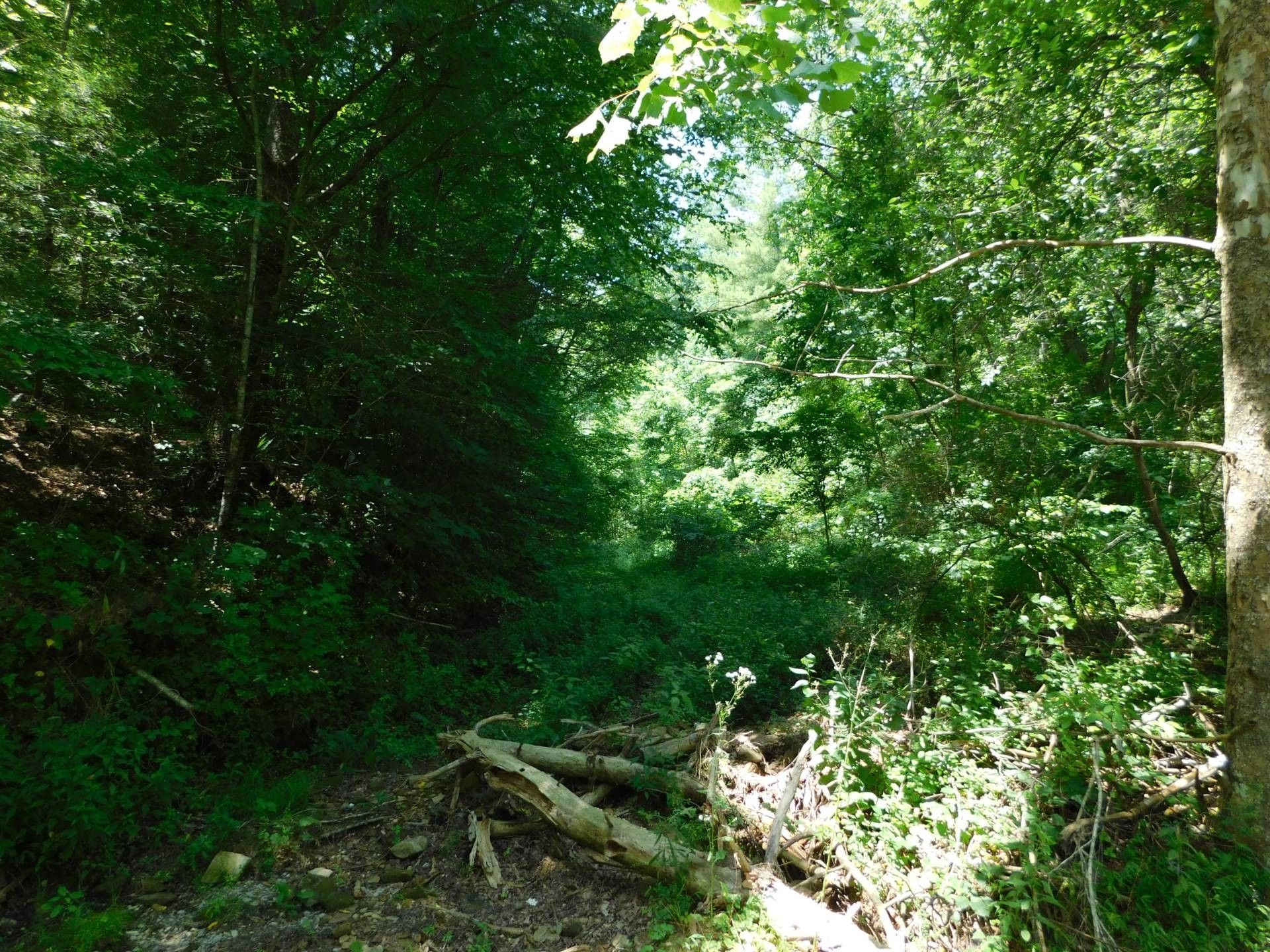 Manchester, Clay County, KY Undeveloped Land for sale Property ID