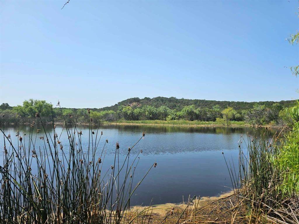 Bangs, Brown County, TX Farms and Ranches for sale Property ID