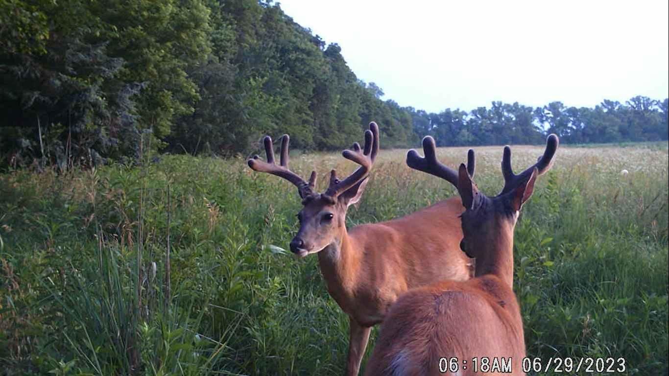 Cedar Point, Chase County, KS Farms and Ranches, Recreational Property