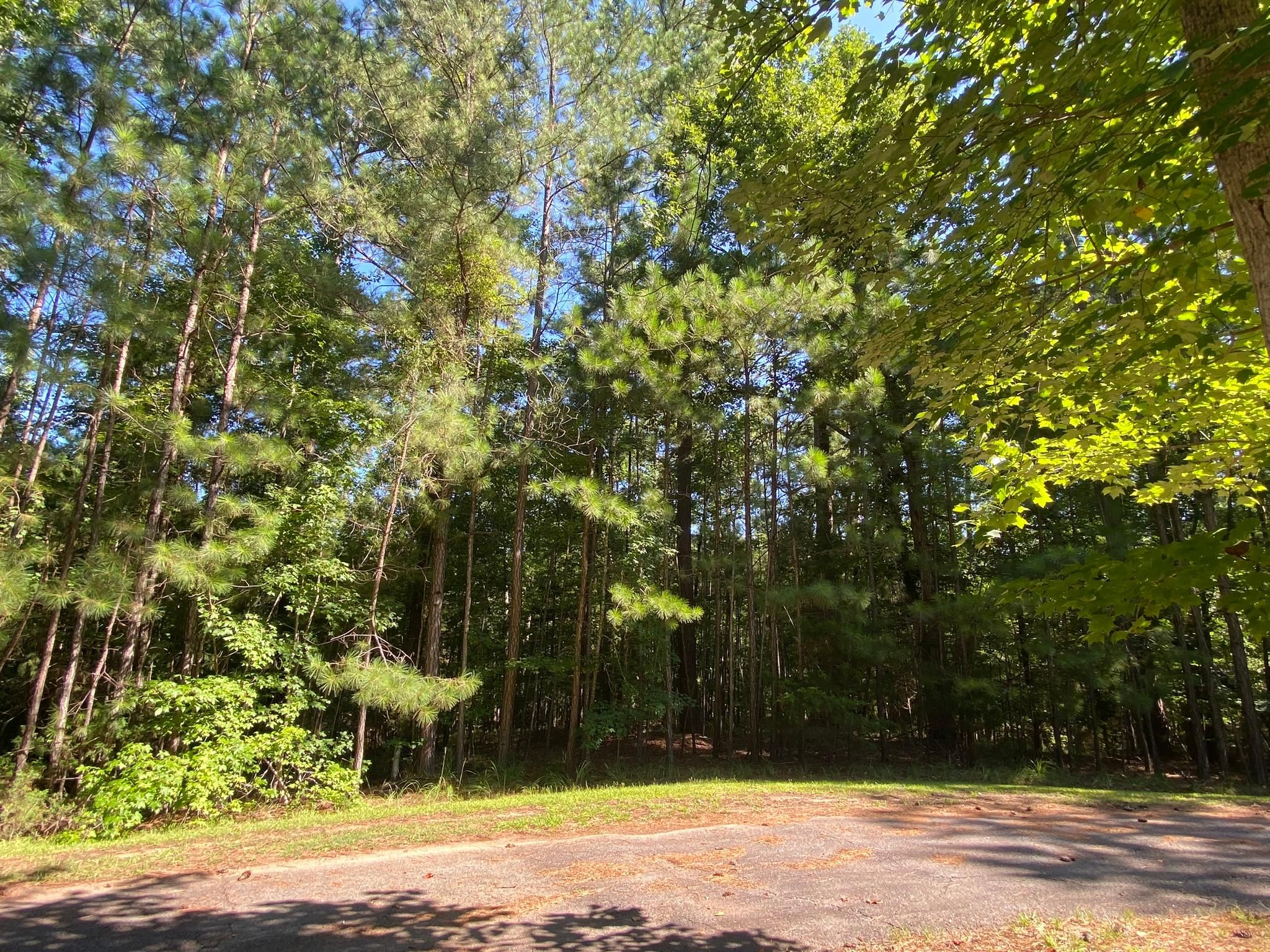 McCormick, McCormick County, SC Lakefront Property, Waterfront Property