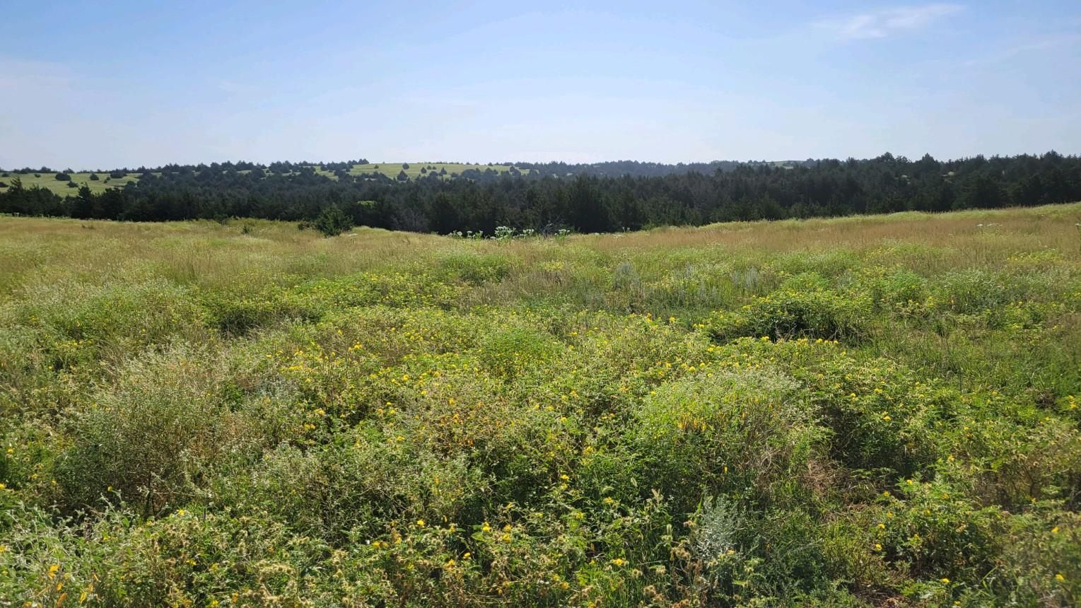 Medicine Lodge, Barber County, KS Recreational Property for sale