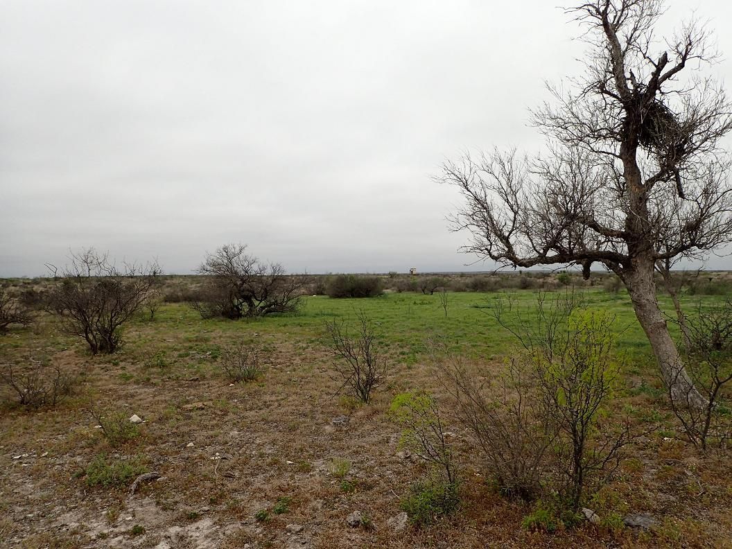 Dryden, Terrell County, TX Farms and Ranches, Recreational Property