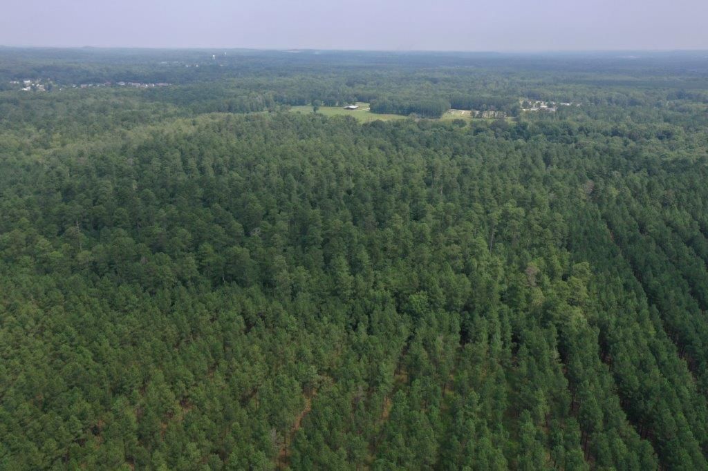 Haskell, Saline County, AR Timberland Property, Undeveloped Land