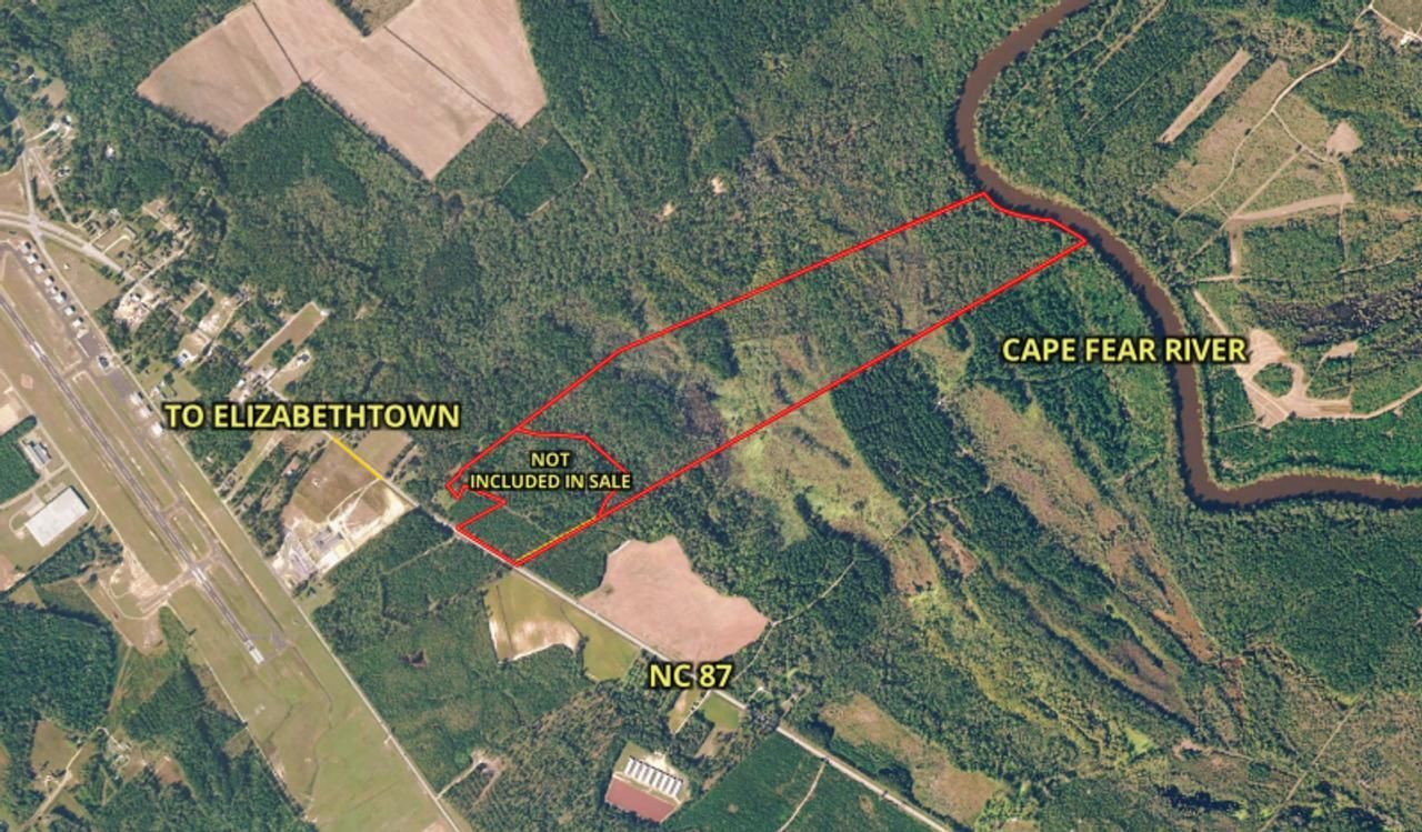 Elizabethtown, Bladen County, NC Recreational Property, Timberland