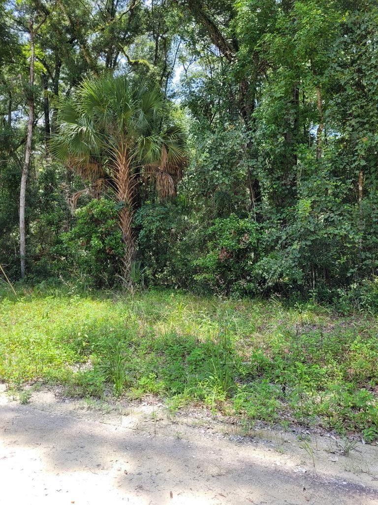 Old Town, Dixie County, FL Undeveloped Land, Homesites for sale