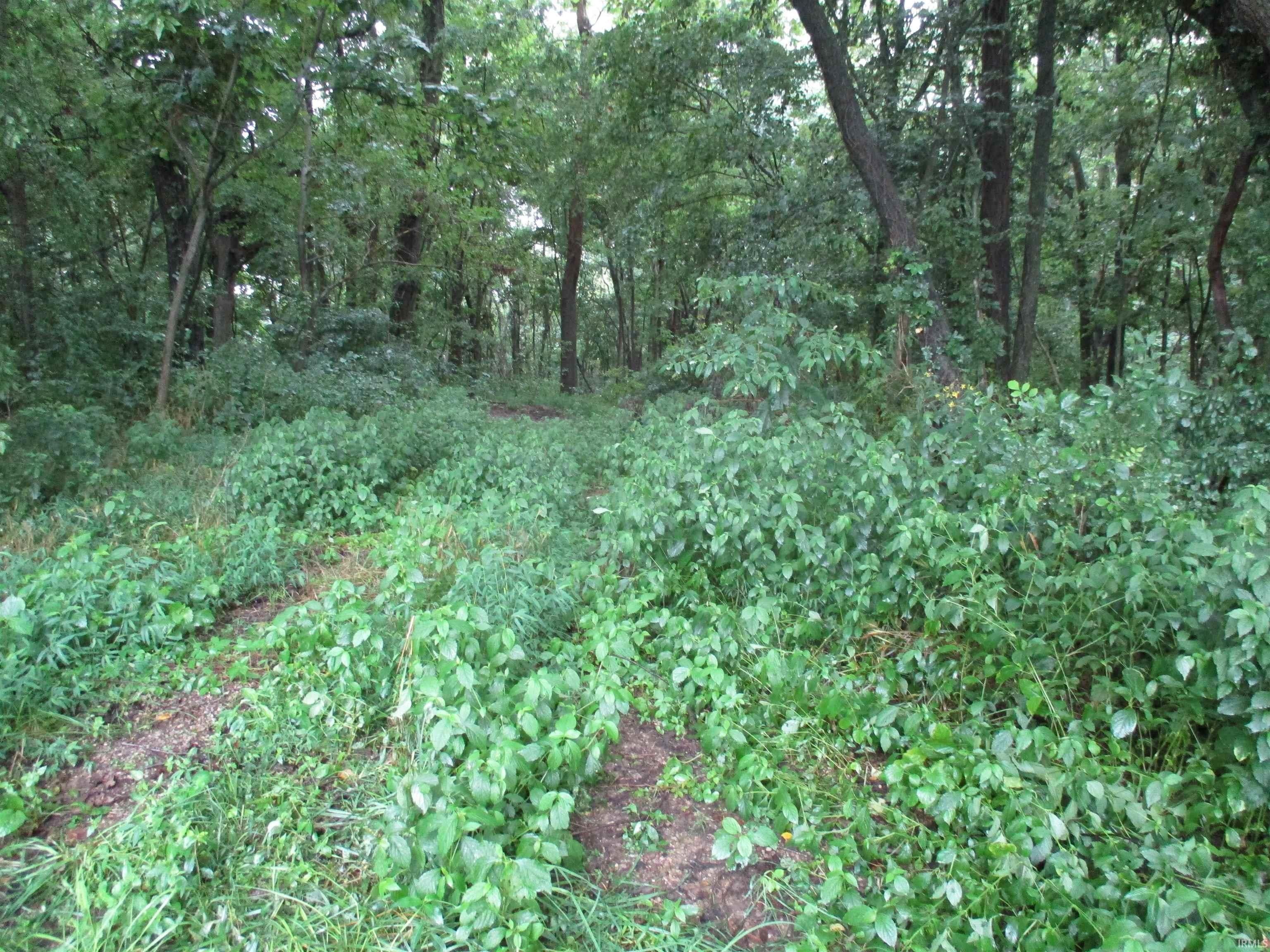 Rockport, Spencer County, IN Undeveloped Land for sale Property ID