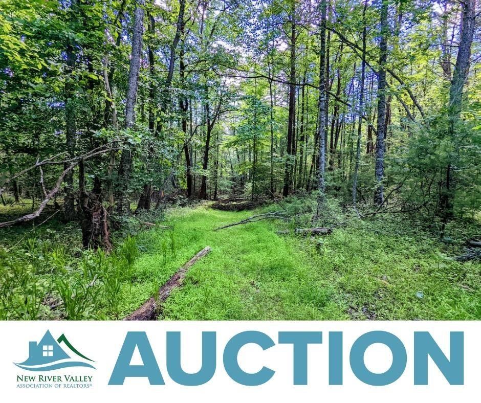 Max Meadows, Carroll County, VA Undeveloped Land for sale Property ID