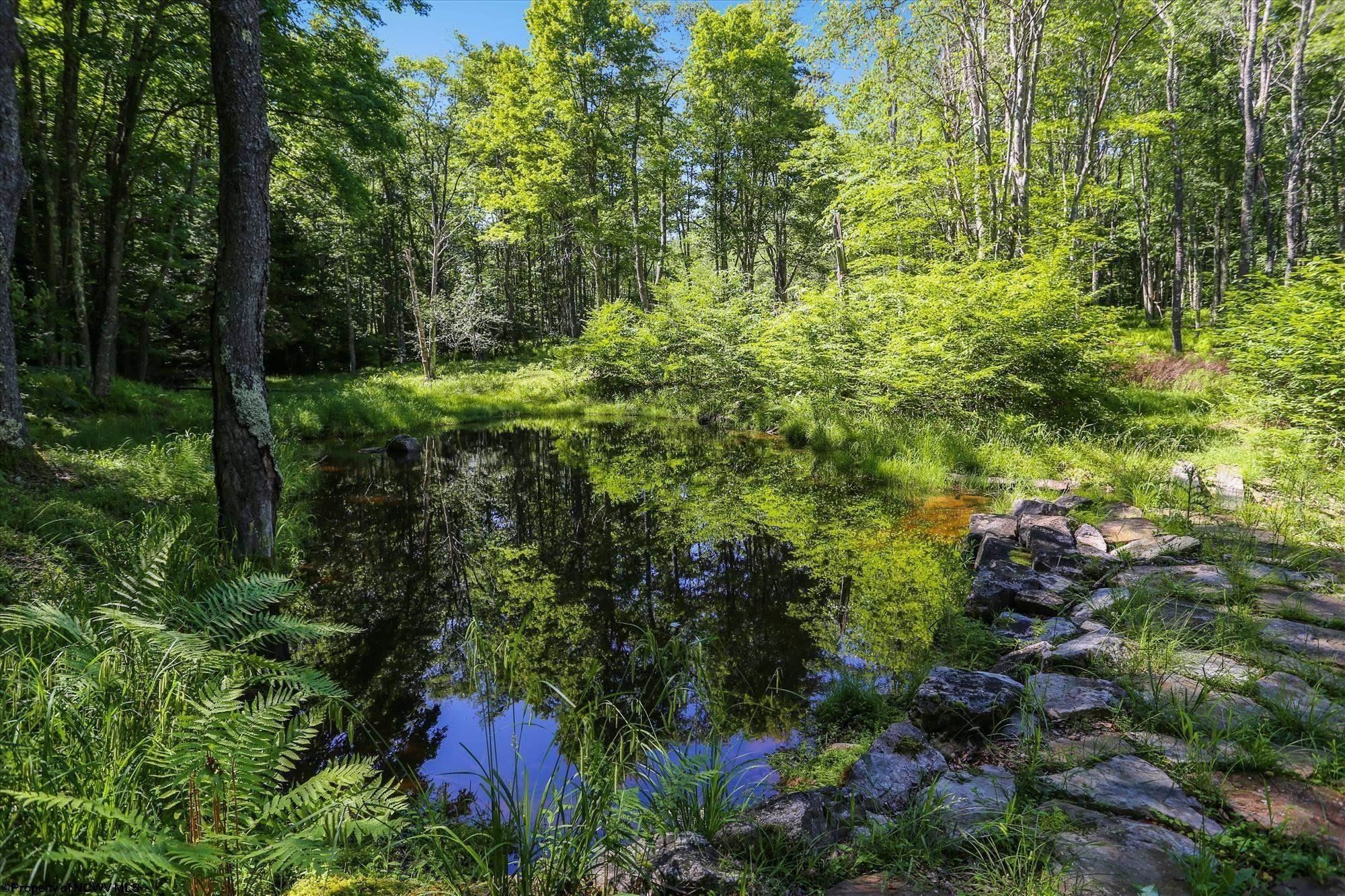Davis, Tucker County, WV Undeveloped Land for sale Property ID