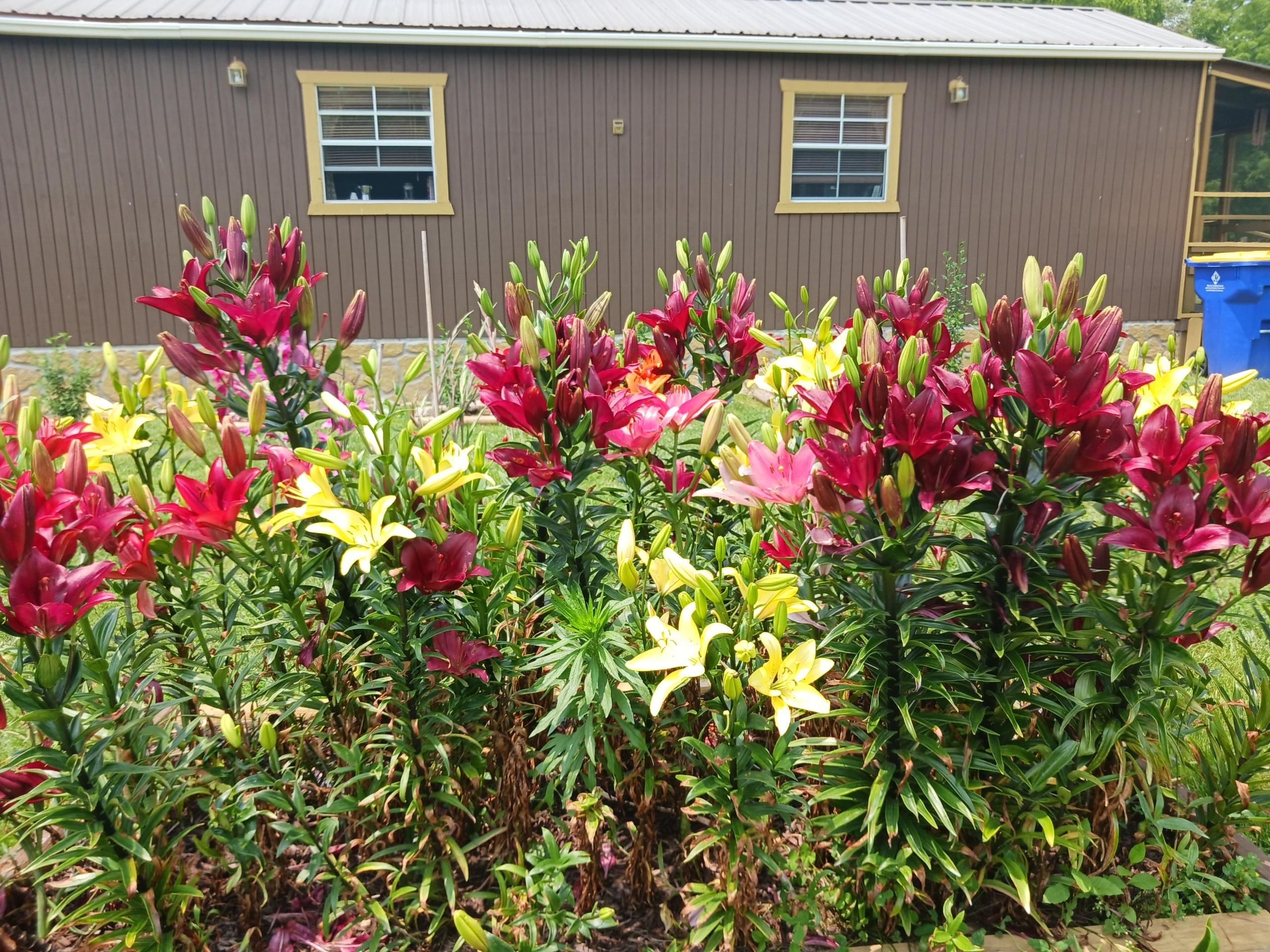 Edmonton, Metcalfe County, KY Farms and Ranches, House for sale