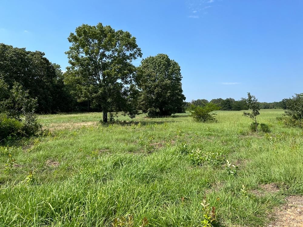 Lane, Atoka County, OK Farms and Ranches for sale Property ID