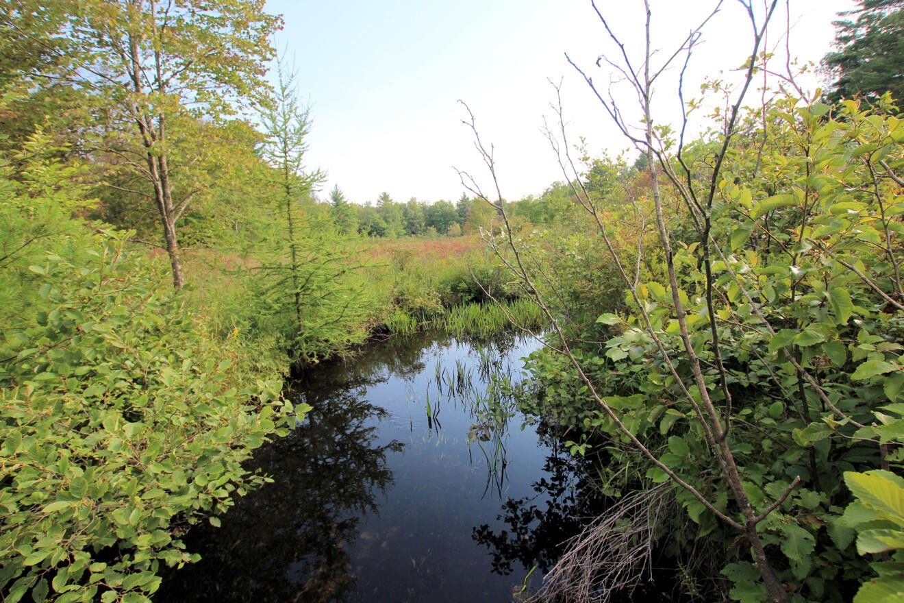 White Cloud, Newaygo County, MI Undeveloped Land, Lakefront Property
