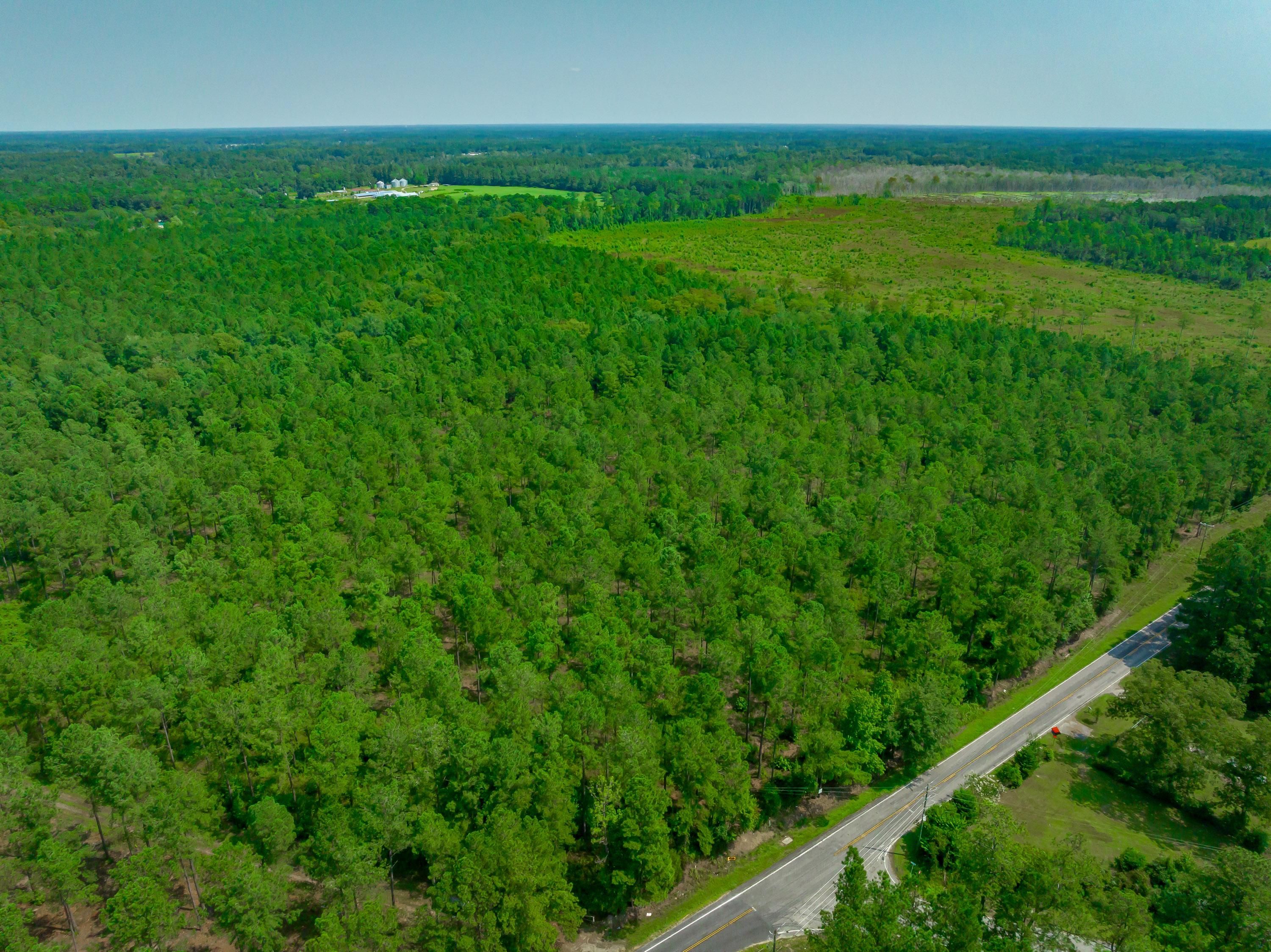 Pauley Swamp Road, Conway, SC 29527 LandWatch