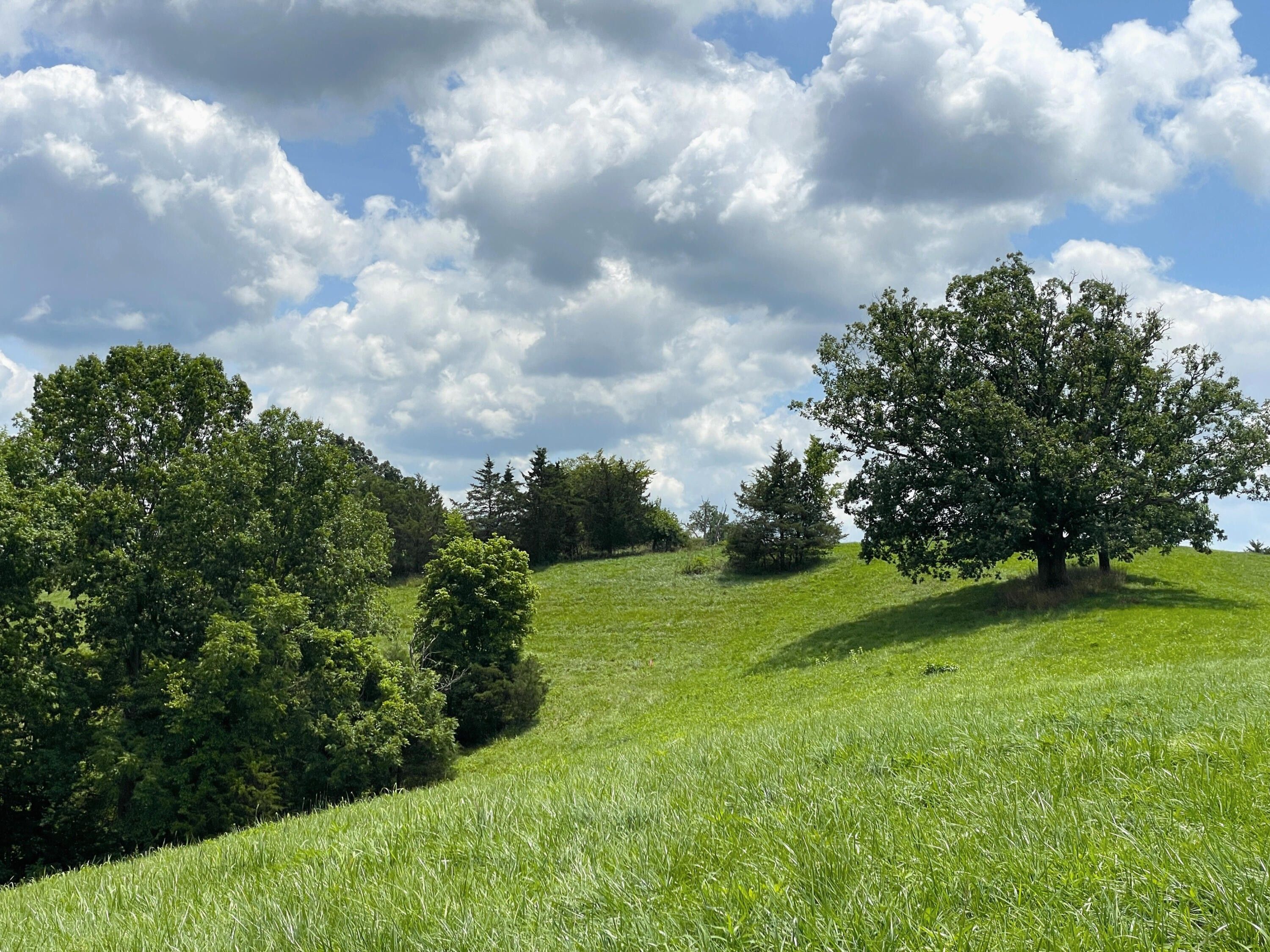 Scott County, KY Farms and Ranches for sale Property ID 417250232 LandWatch