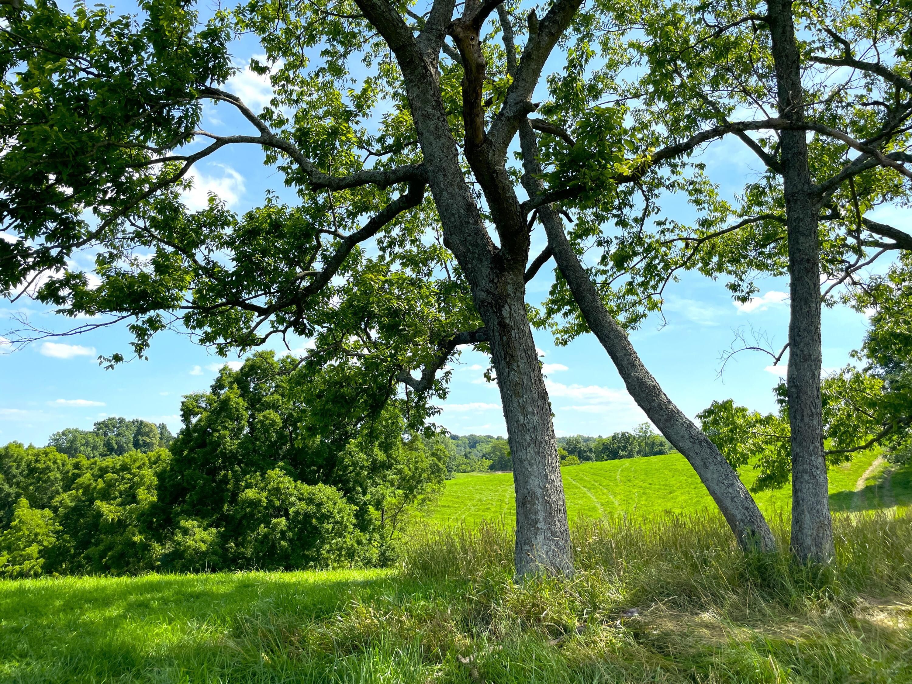 Scott County, KY Undeveloped Land for sale Property ID