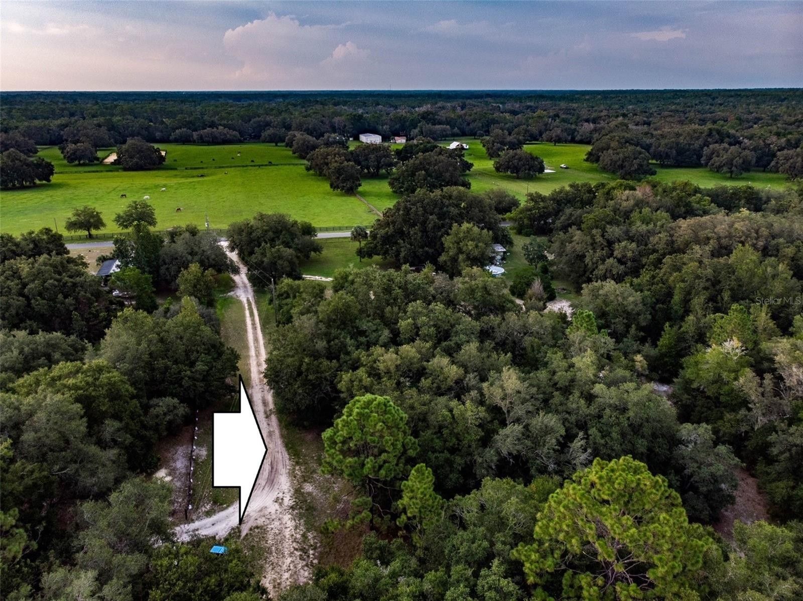 Dunnellon, Citrus County, FL Undeveloped Land, Homesites for sale