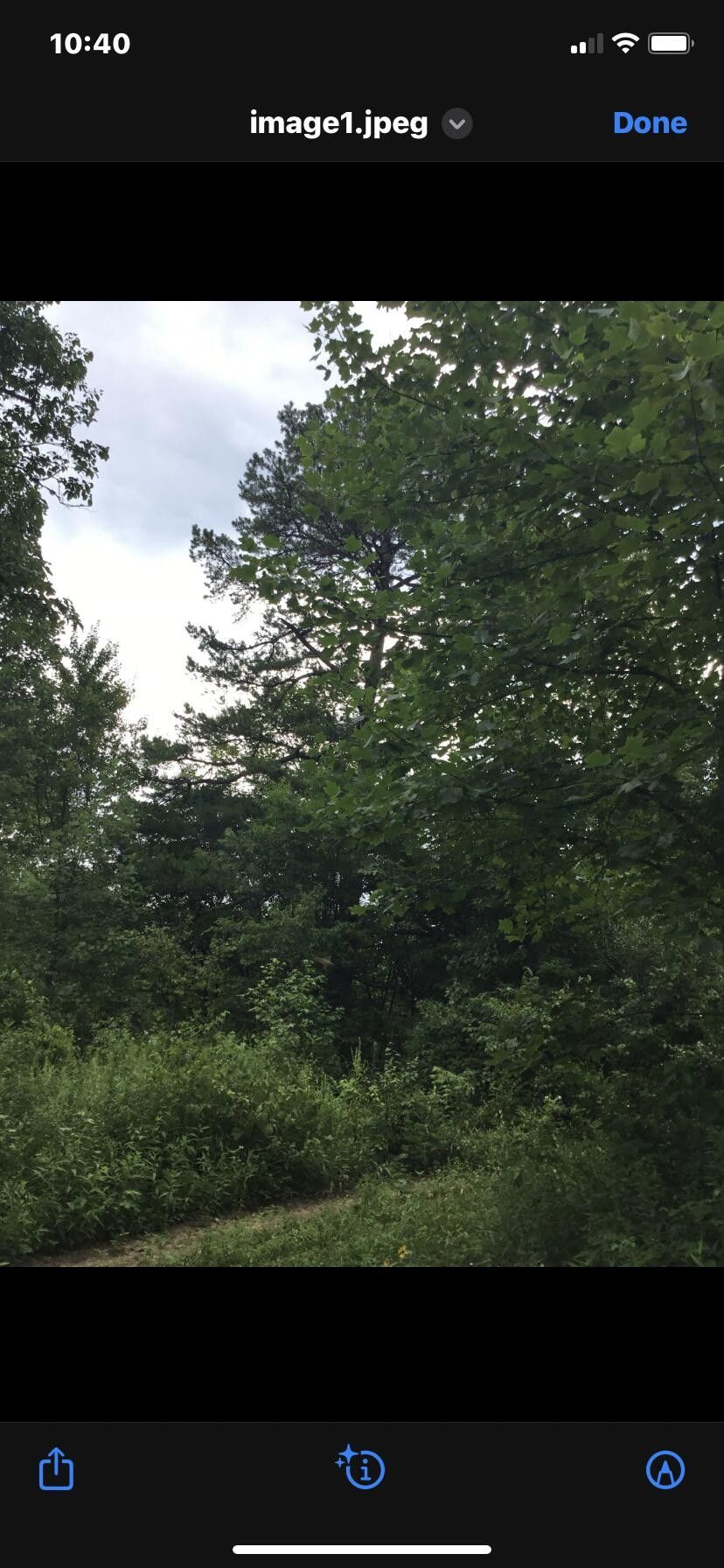 Pine Knot, McCreary County, KY Farms and Ranches for sale Property ID