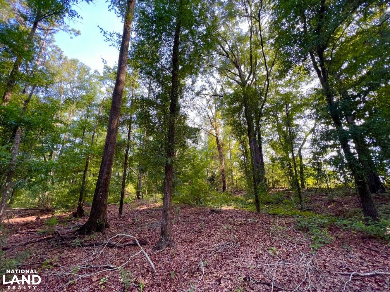 Enterprise, Coffee County, AL Undeveloped Land for sale Property ID