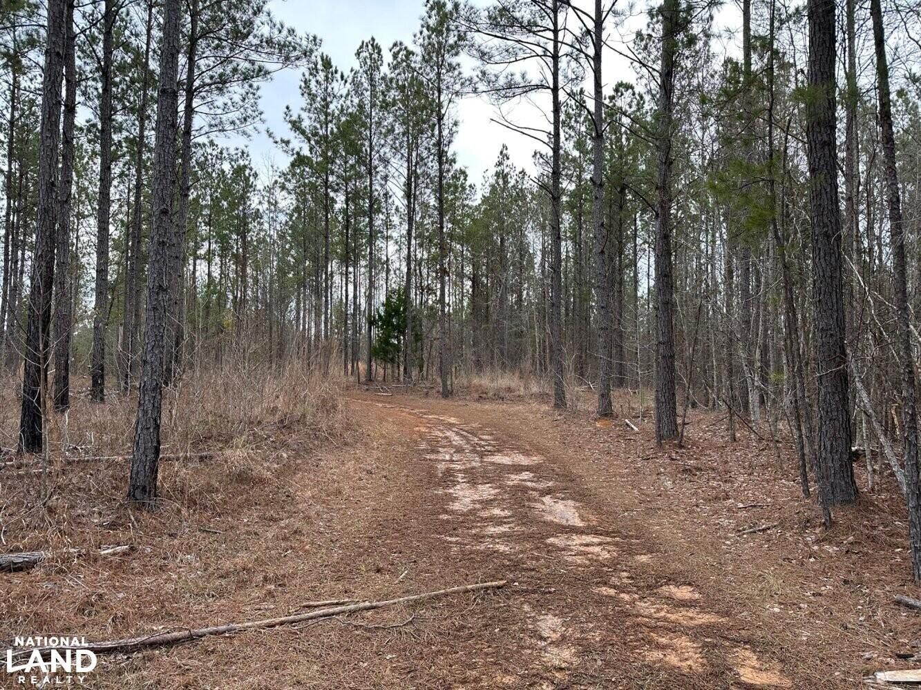 Toomsuba, Lauderdale County, MS Recreational Property, Timberland