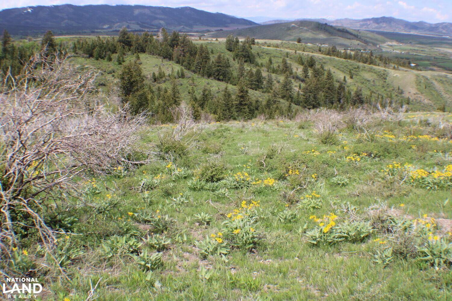 Caribou Village Subdivision, Phase 1, Block 2 Lots 42, 43, 44, Soda