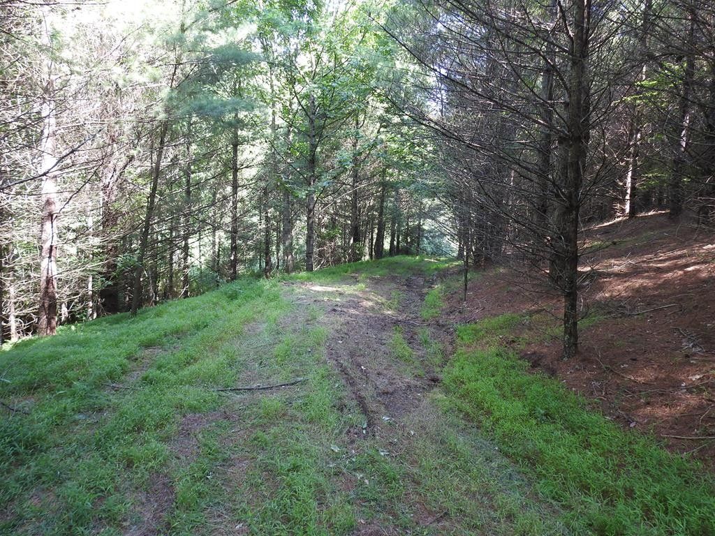 Galax, Carroll County, VA Farms and Ranches for sale Property ID