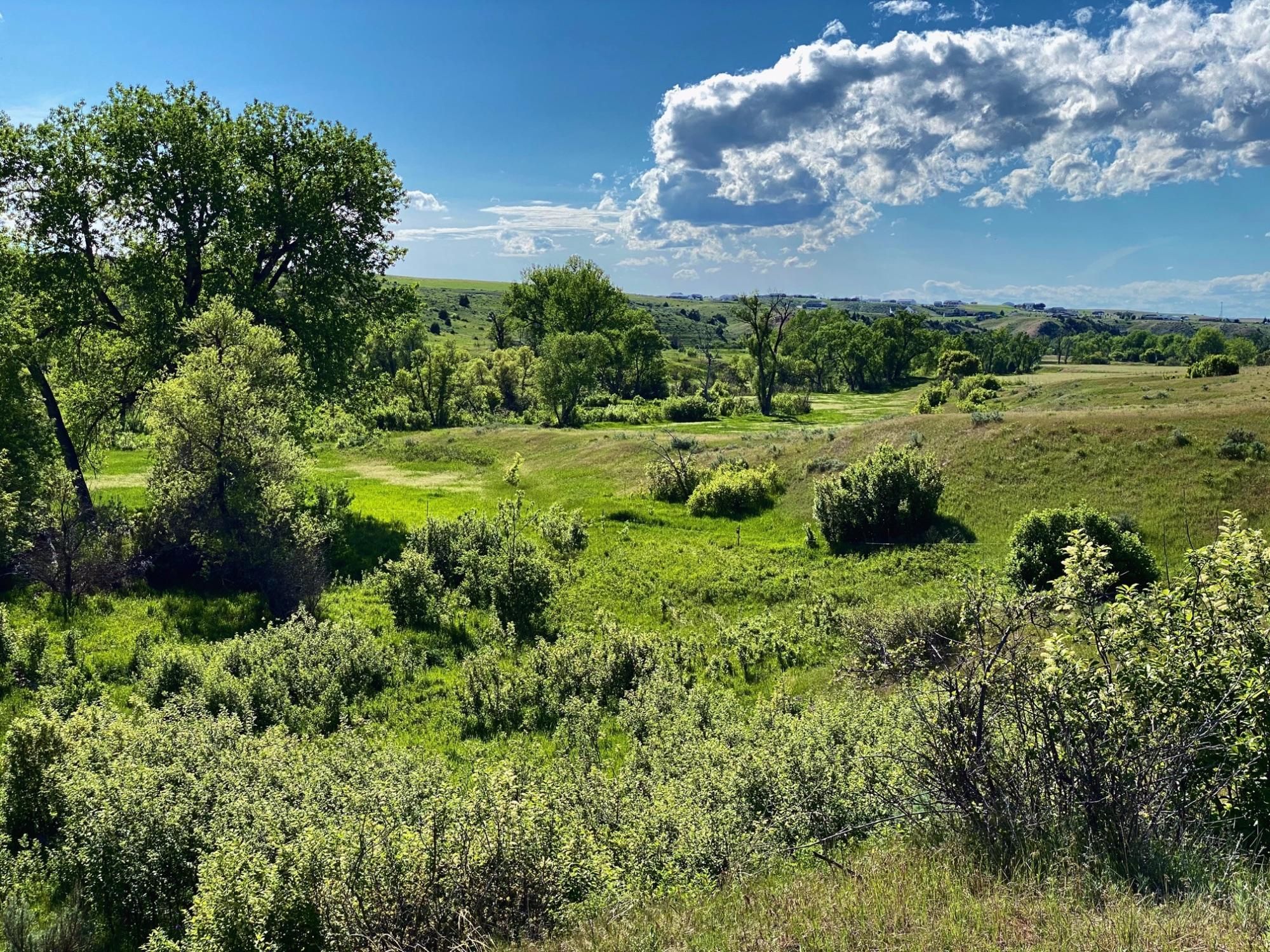 Billings, Yellowstone County, MT Recreational Property, Undeveloped