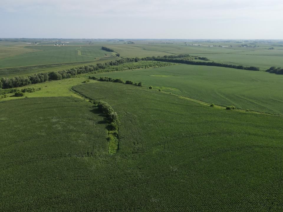 Mayview, Lafayette County, MO Farms and Ranches for auction Property ID