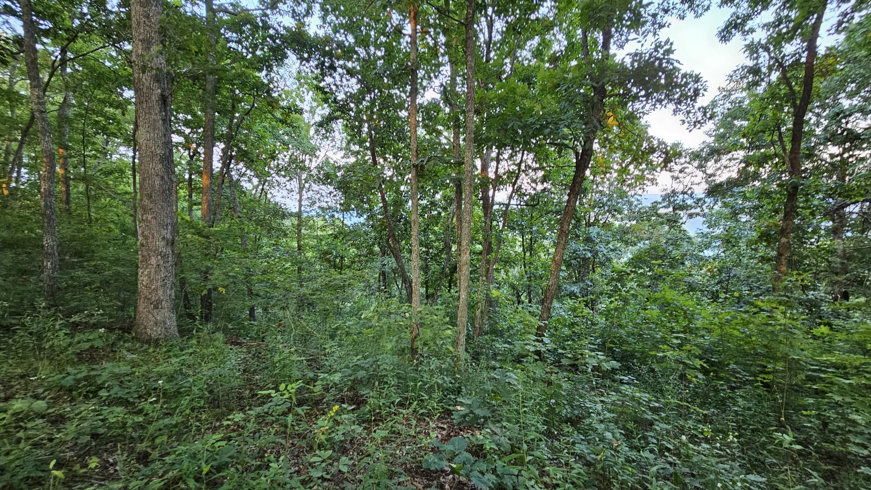 Gap Mills, Monroe County, WV Undeveloped Land, Homesites for sale