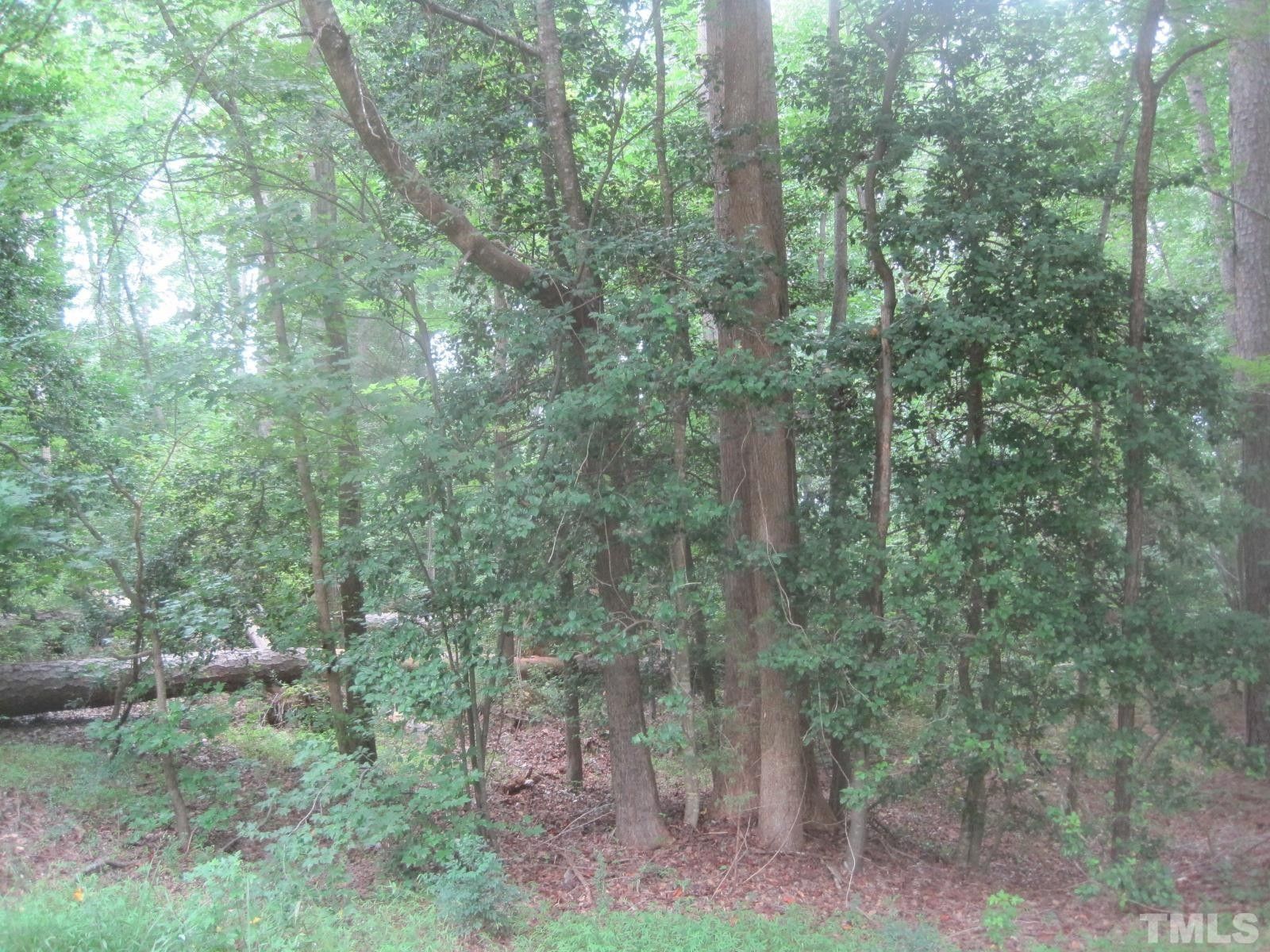 Louisburg, Franklin County, NC Undeveloped Land, Homesites for sale