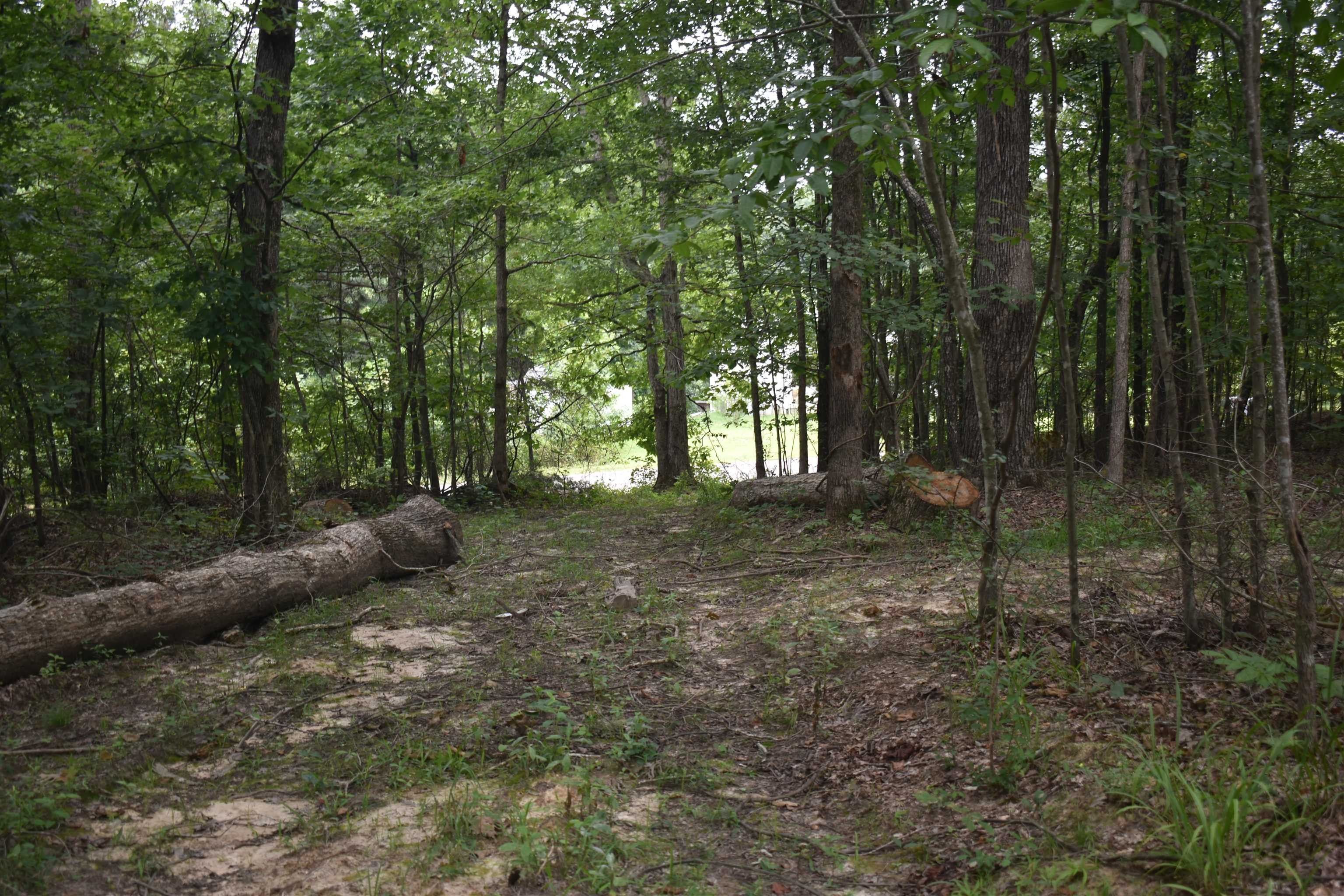 Ramer, McNairy County, TN Farms and Ranches for sale Property ID